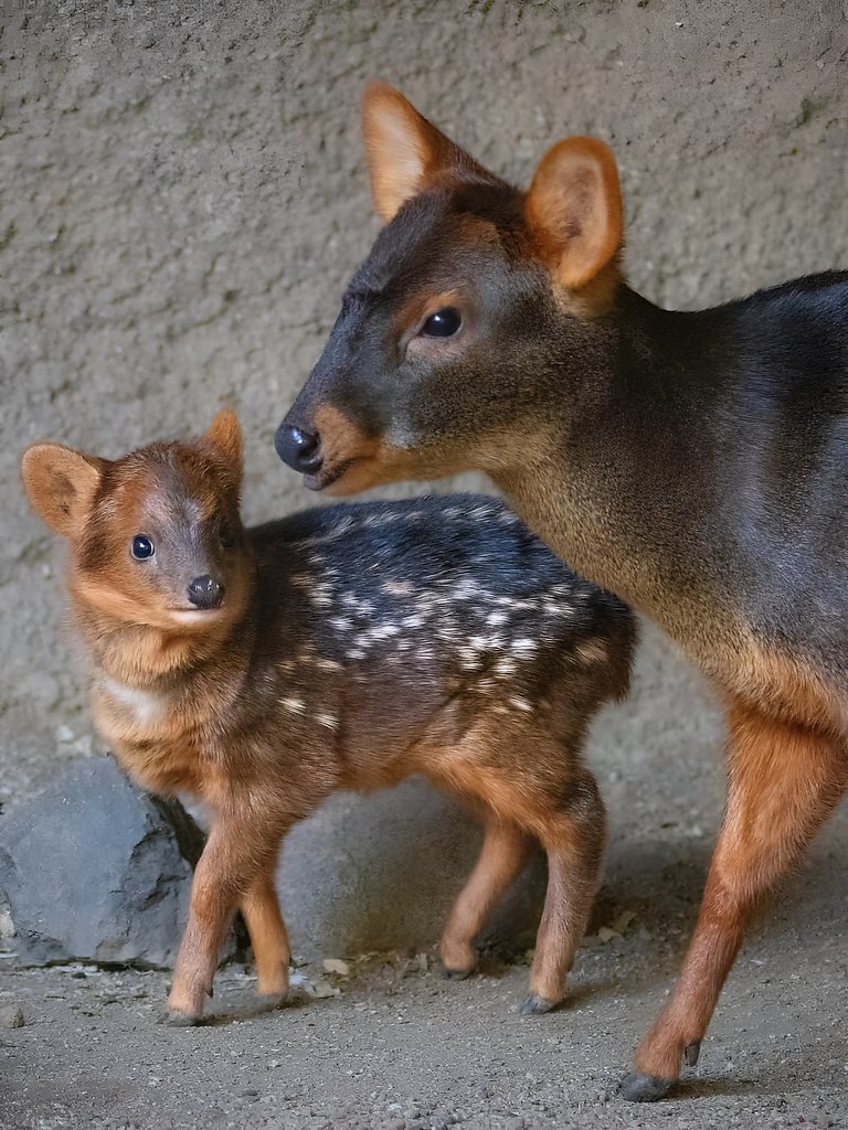   -     .  3     . - 3