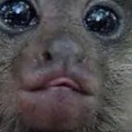 Vlad, ������, 45 ���