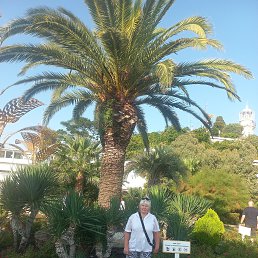 , 55, 