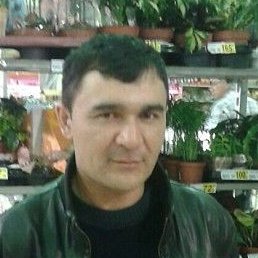 ����, ����, 42 ����