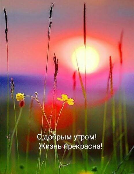 ���� �������� ������� - 5 ���� 2026 � 07:55 - 5