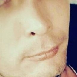 ������, �����������, 37 ���