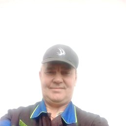 , 53, 