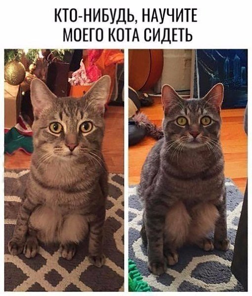 ? ,  ! - 8  2024  11:53