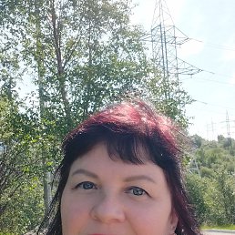 , 37, 