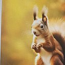 ���� ��������, ������, 65 ��� - ��������� 18 ������ 2026 � ������ ���� ����������