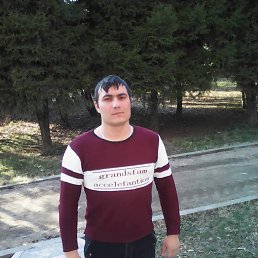 , 37, 