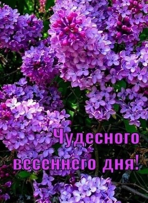   ,    . - 6  2025  09:03