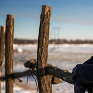 �����, 43 ����, ������-��-����