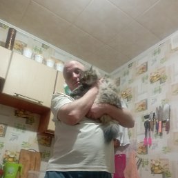 �����, ��������, 46 ���