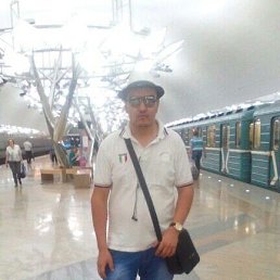 , 33, 