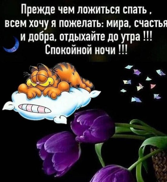  - 27  2024  20:04
