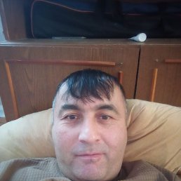  , 43, 