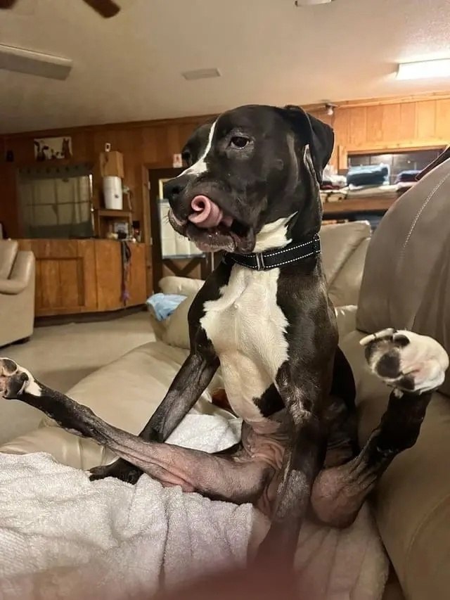  !