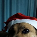   , -, 48  -  30  2023    