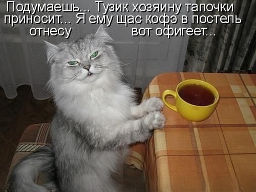   - 21  2025  11:41