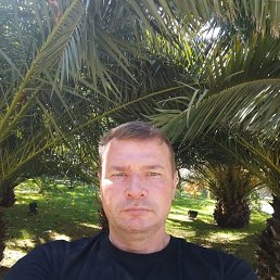 , 50, 