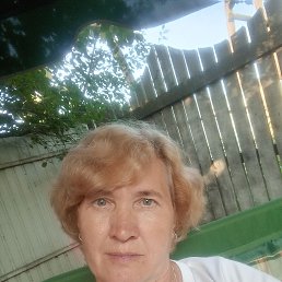 , 53,  