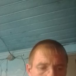 ������, �����, 38 ���