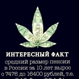 ����, �����-��������, 48 ���