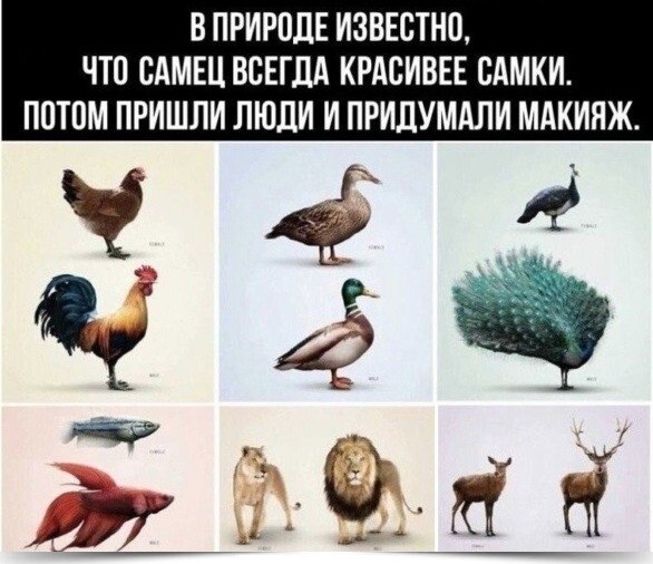 ~~~~~~~~~~~~~~~~~~~~~~