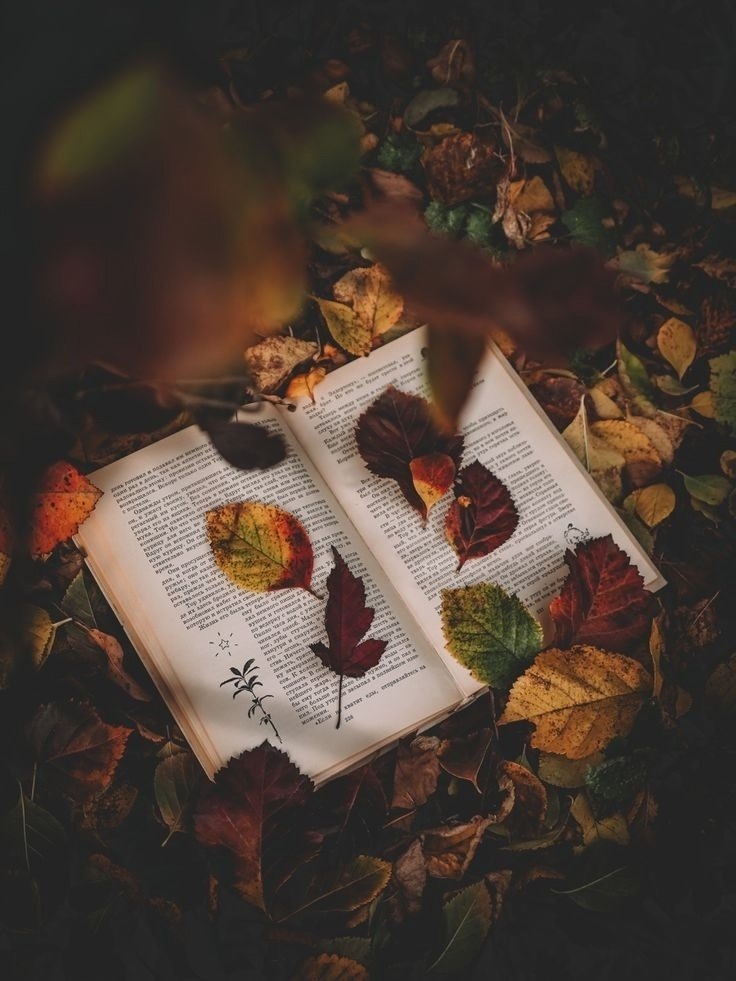     ,       , ,  ,  ...