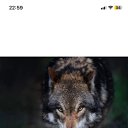 ���� ��, �����������, 57 ��� - ��������� 1 ��� 2026 � ������ ���� ����������