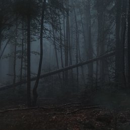 ������, �����, 21 ���