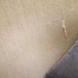 ����, �����-���������, 25 ���