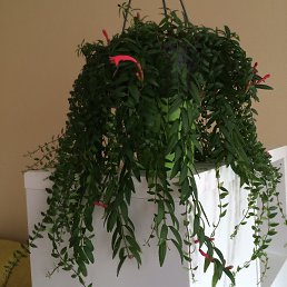 ���� �����, ������ - ��������� 8 ���� 2026