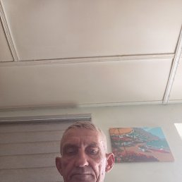 , 51, 