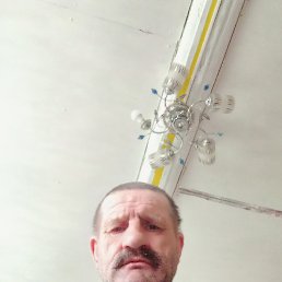 , 66,  