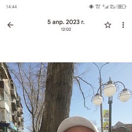 , 41, 