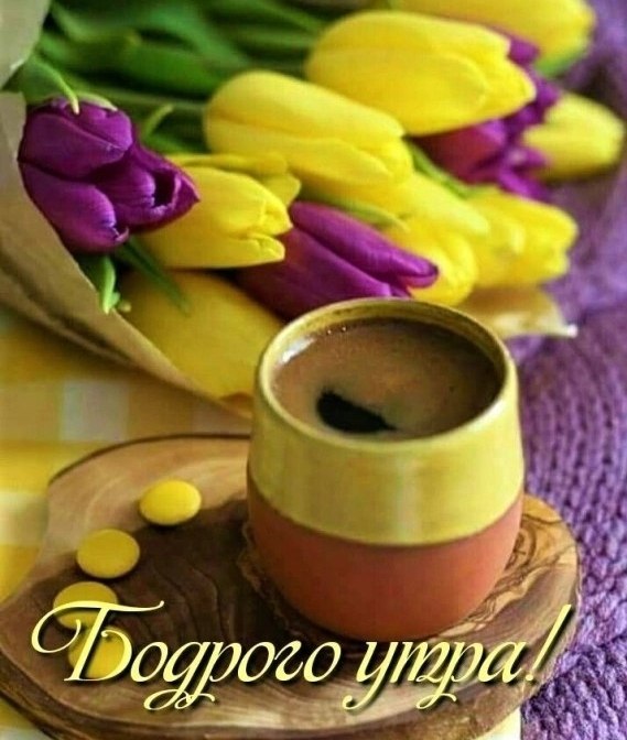  ,    . - 3  2025  22:06