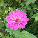 ���� ������, �����-���������, 62 ���� - ��������� 25 �������� 2025 � ������ �������