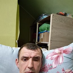 ������, 41 ���, ���������