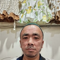 , 38, 