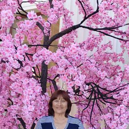 ���� �������, ����, 68 ��� - ��������� 23 ������ 2023