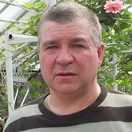 ������, �����������, 61 ���