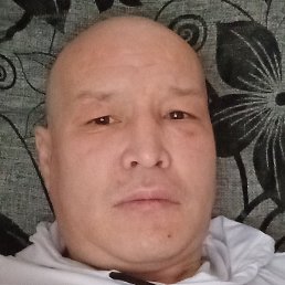 ������� ���������, ������, 37 ���