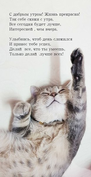  - 10  2024  07:21