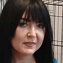 ����, ������, 36 ���