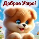 ���� ������, ����, 52 ���� - ��������� 24 ���� 2024 � ������ ���� ����������