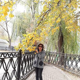 �����, ������