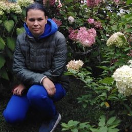 ���� �����, ������, 44 ���� - ��������� 31 ������� 2025