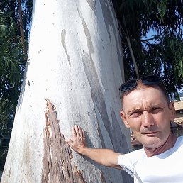 ���� �������, ������-��-����, 58 ��� - ��������� 29 �������� 2025