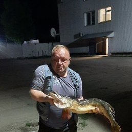 , 48, 