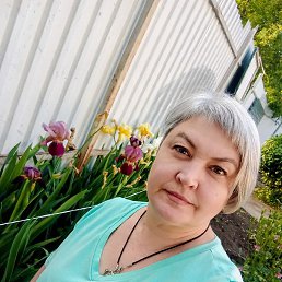 �������, �������, 52 ����