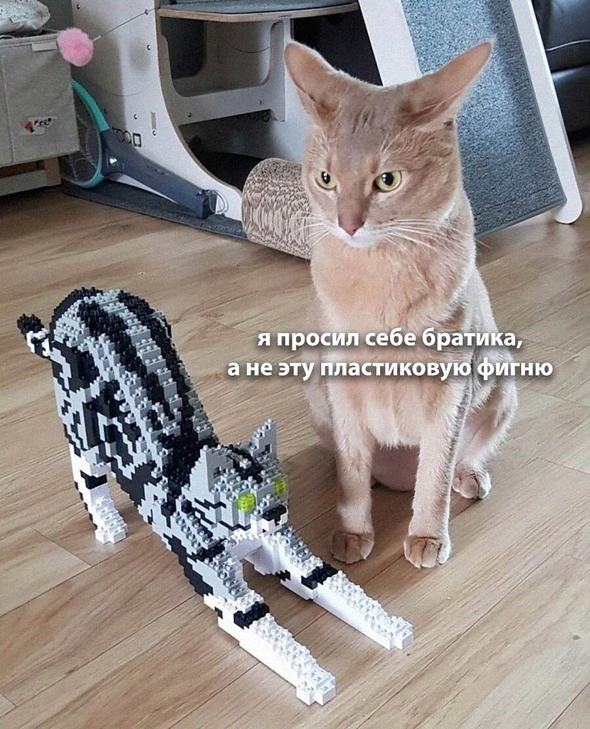   - 28  2024  06:36