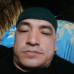 ���������, �������, 41 ���